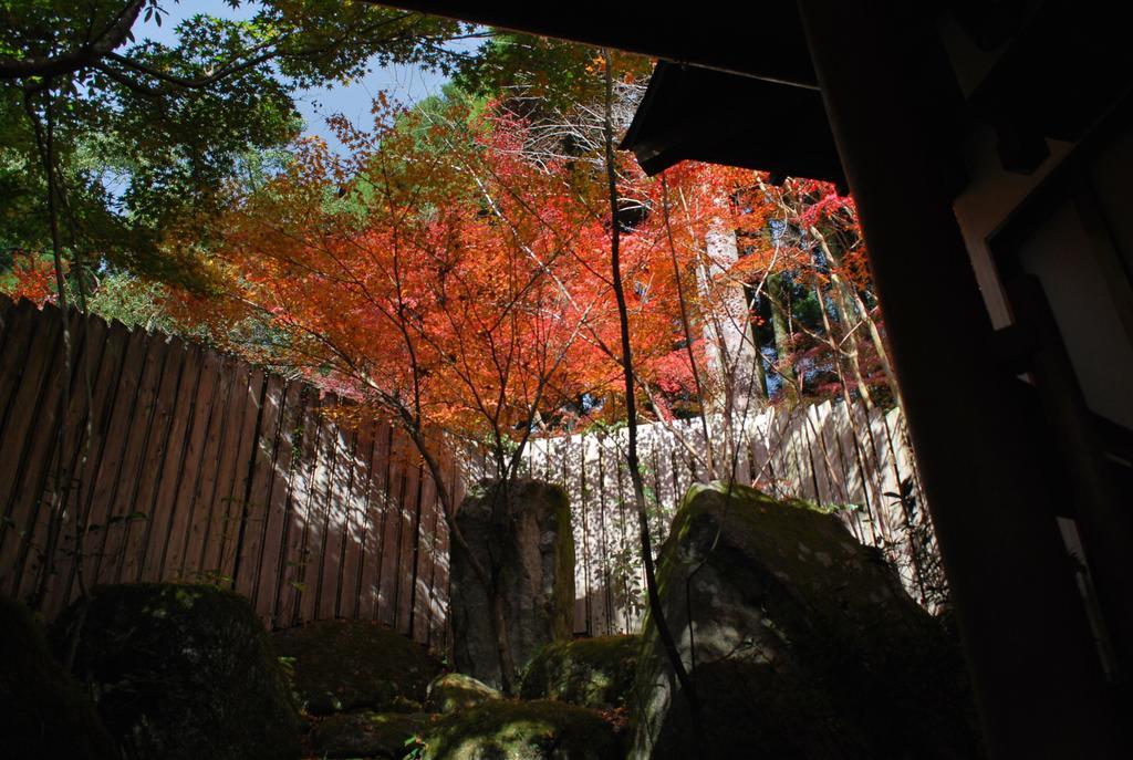 Akizuki Spa Ryokan Seiryuan Asakura  Buitenkant foto